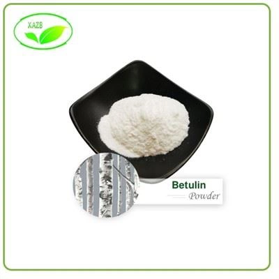 Betulin Powder Betulin Powder